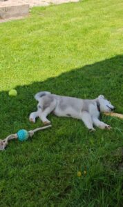 Messenger_creation_2AC1AE04-8526-4FE3-B219-DB17758A2A11