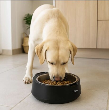 Söögikauss koerale, sisseehitatud kaaluga